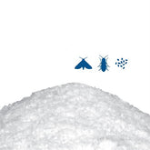 Takaz Global Toz Naftalin 4 lü Paket 200 Gram 718720